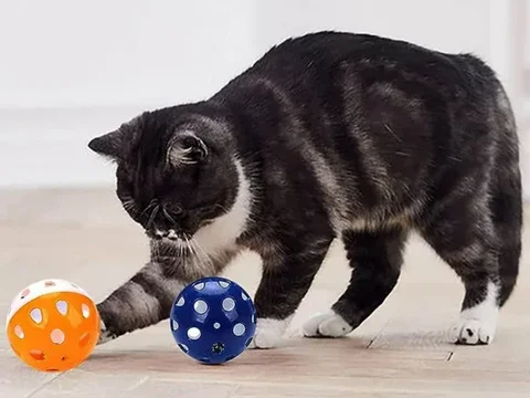 El Juguete Perfecto para tu Gato: Por qué los Juguetes de Cascabel Son una Gran Opción